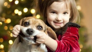 Cute-Christmas-Animals-31-630x468