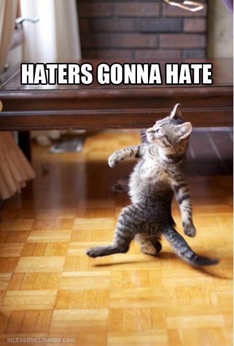 haters gonna hate funny cat memes