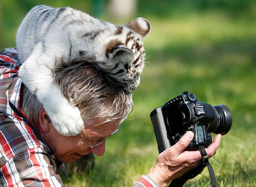 The Photographers Caught In The Wild And Animals Responded to Them