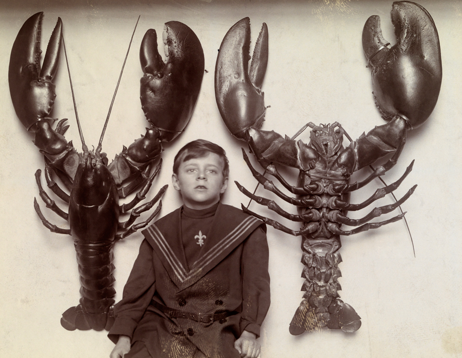 giantlobsters
