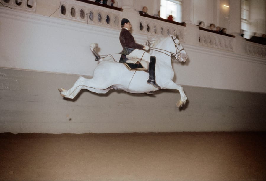 leaphorse