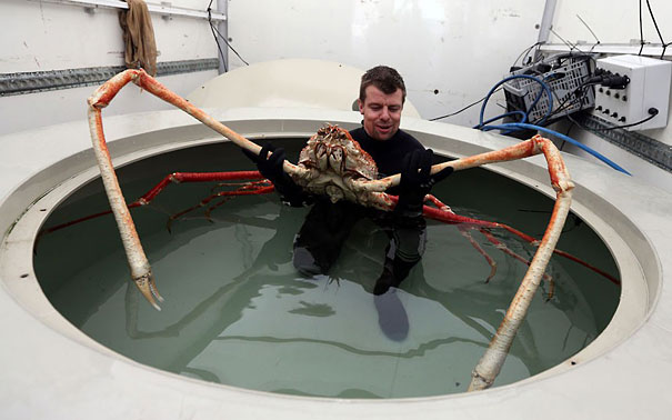 strange-animals-you-didnt-know-24