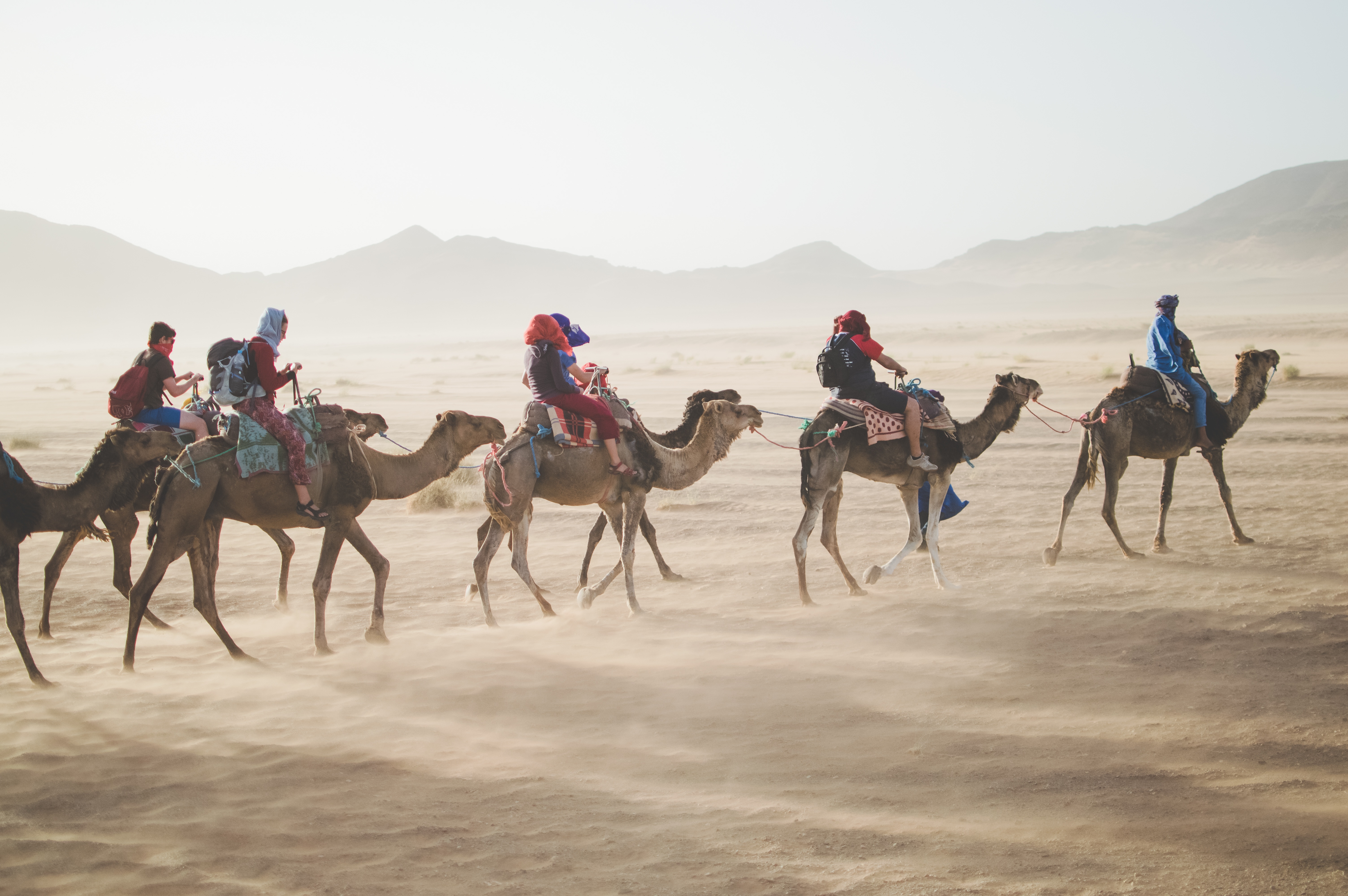 camel-2