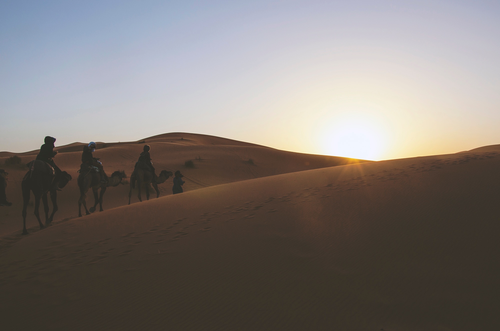 camel-4