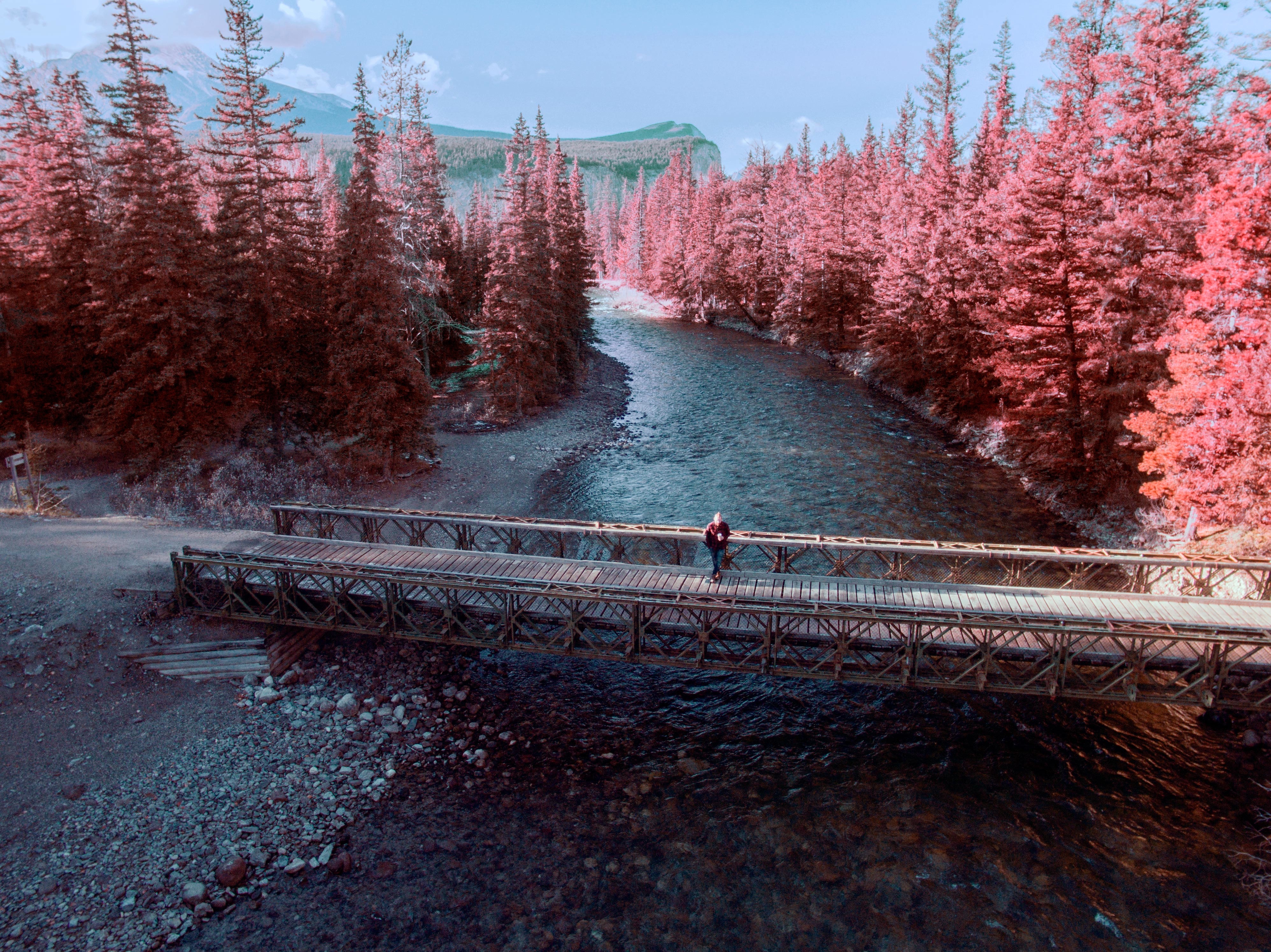 photo-1477524944621-13fe1492c845