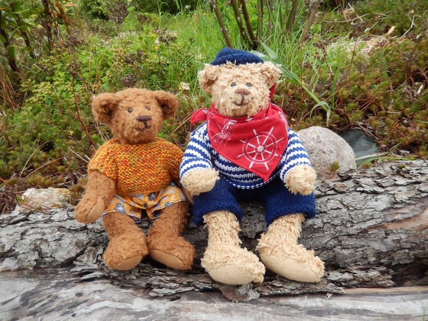 bear-teddy-bears-toys-friends-160714