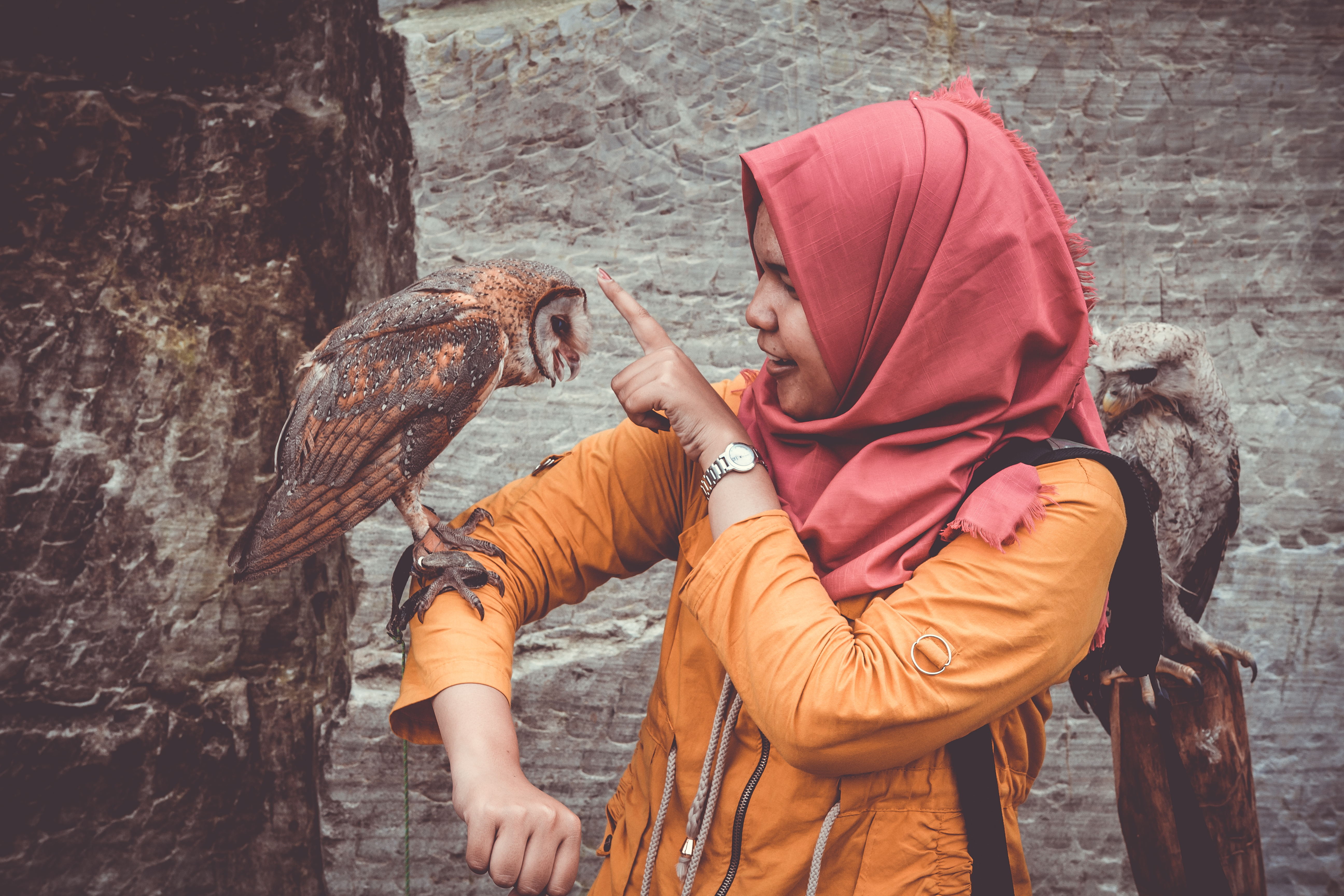 girl-with-owl