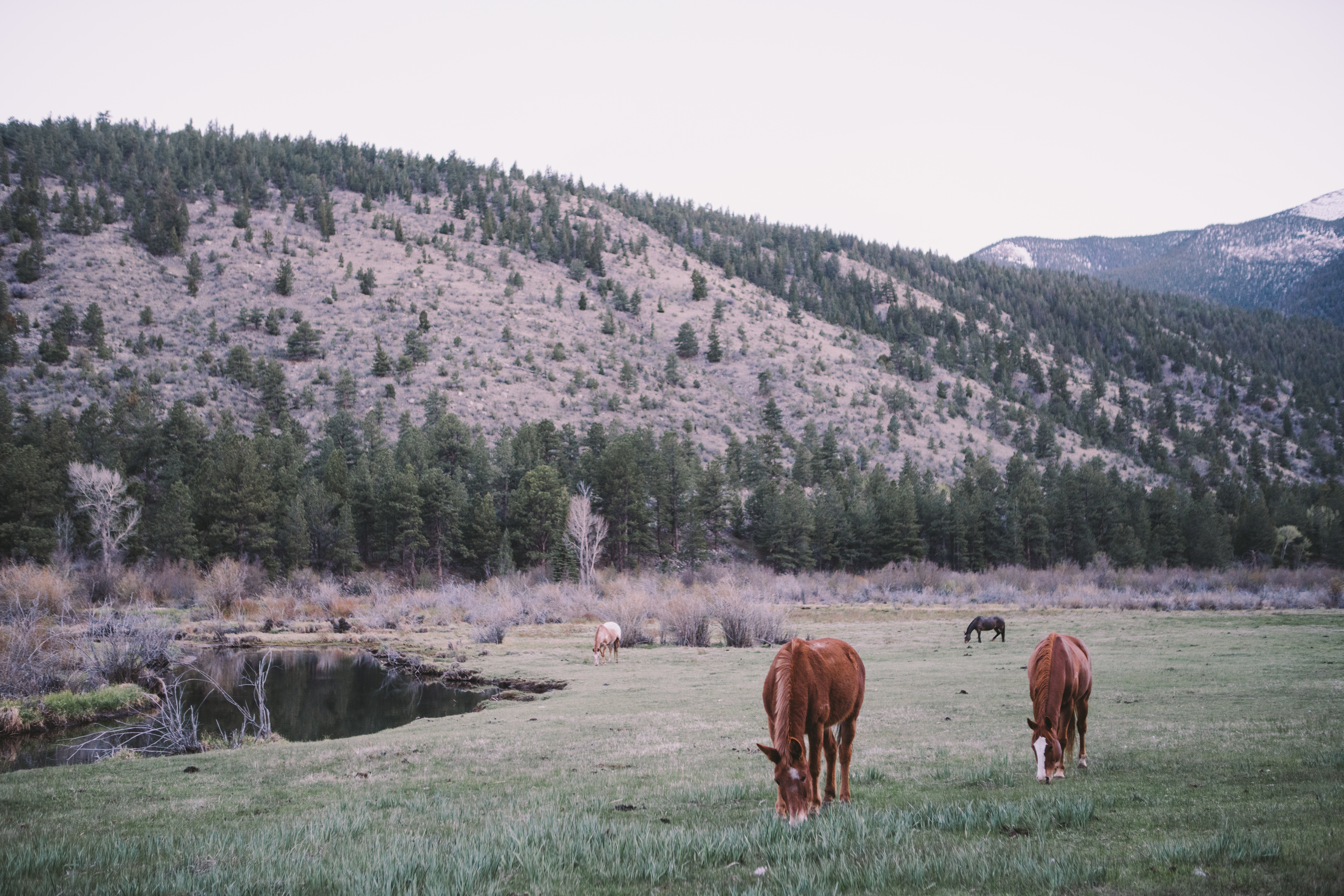 photo-1465418247821-ea09c54e7718