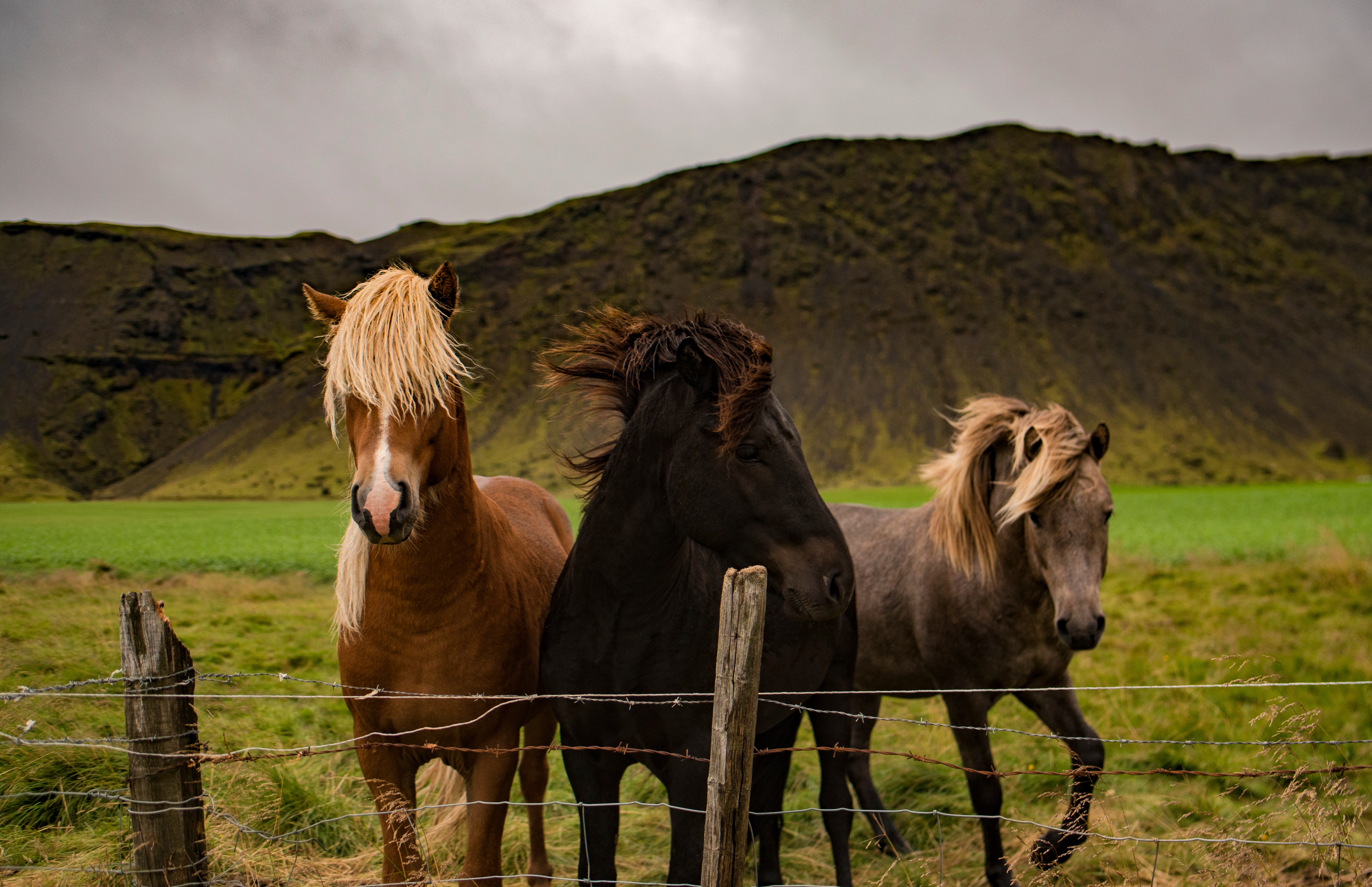photo-1473216635433-38f7100ae658