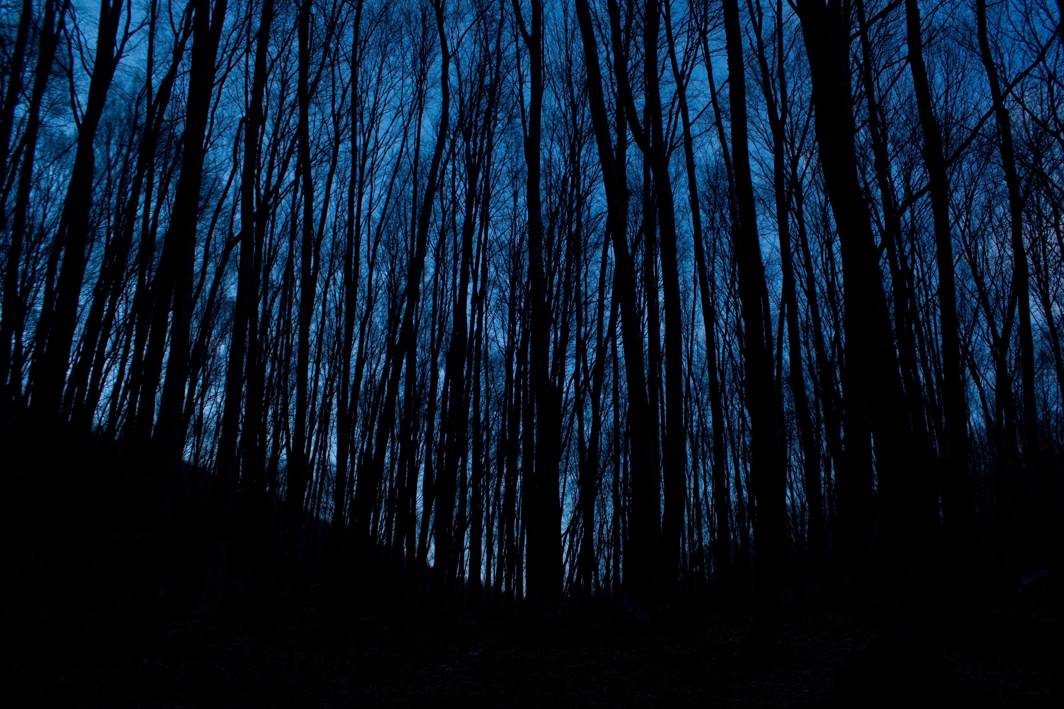 photo-1474983797926-3939622ca489