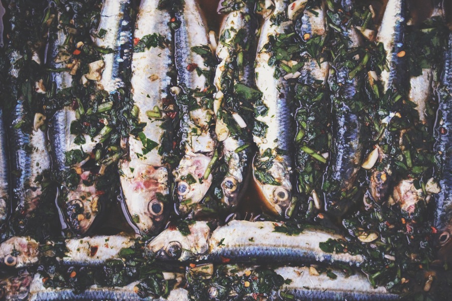 talking-fish