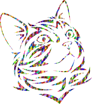 colorful-1312836__340