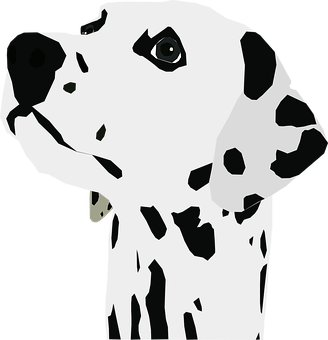 dalmatian-309854__340