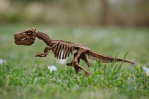 dinosaur-1512250__340