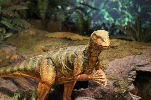 dinosaur-597148__340