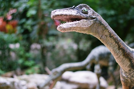 dinosaur-763826__340