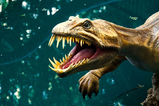dinosaur-875614__340