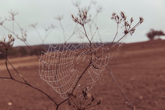 pexels-photo-194358