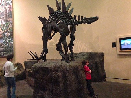 stegosaurus-770221__340