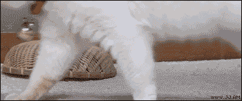 tumblr_m6m18tnrbp1qdlh1io1_400