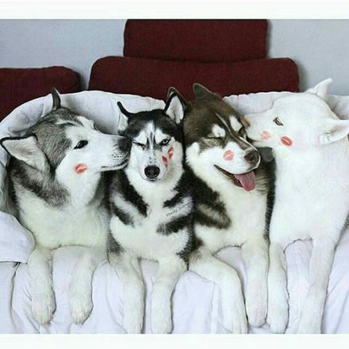 tumblr_oghv1be9vb1vfaqn2o1_500