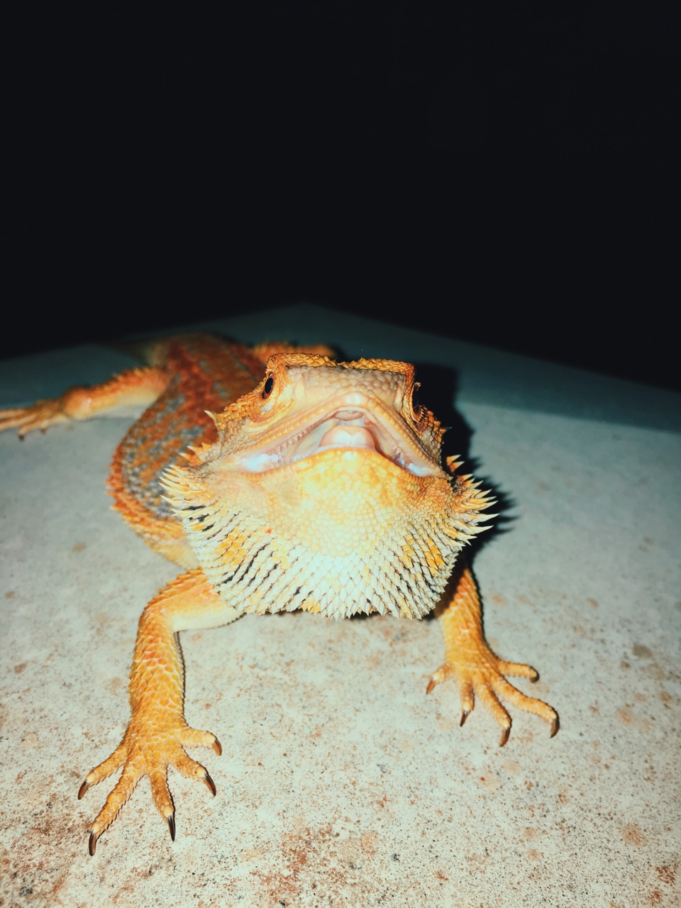 Processed with VSCO with c9 preset