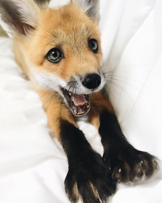 tumblr_ogl3nbop5q1vfaqn2o1_1280