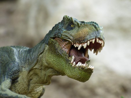tyrannosaurus-855188__340