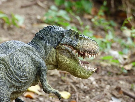 tyrannosaurus-855200__340