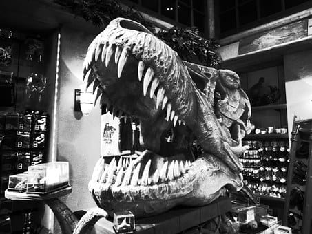 wikiproject-dinosaurs-749893__340