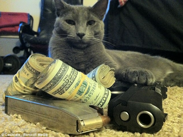 Richest Cats in The World - These Cats Inherited Million Dollar Fortune
