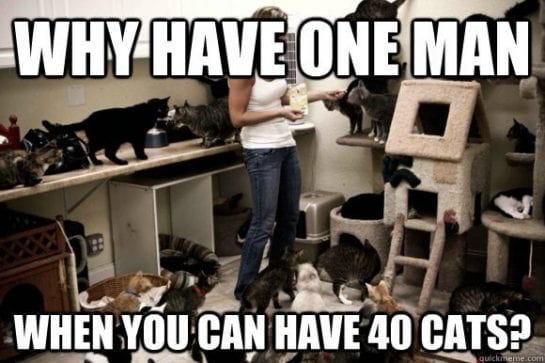 18 Crazy Cat Lady Memes to Give You New Vibes
