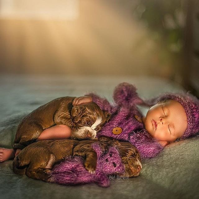 30+ Adorable Newborn Babies Sleeping With Baby Animals