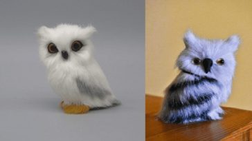 reddit expectation vs reality photos