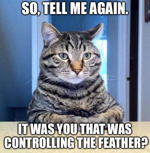 Cat Memes 2019 - 60 Cat Memes to Inspire You To Take A Photo of Your ...
