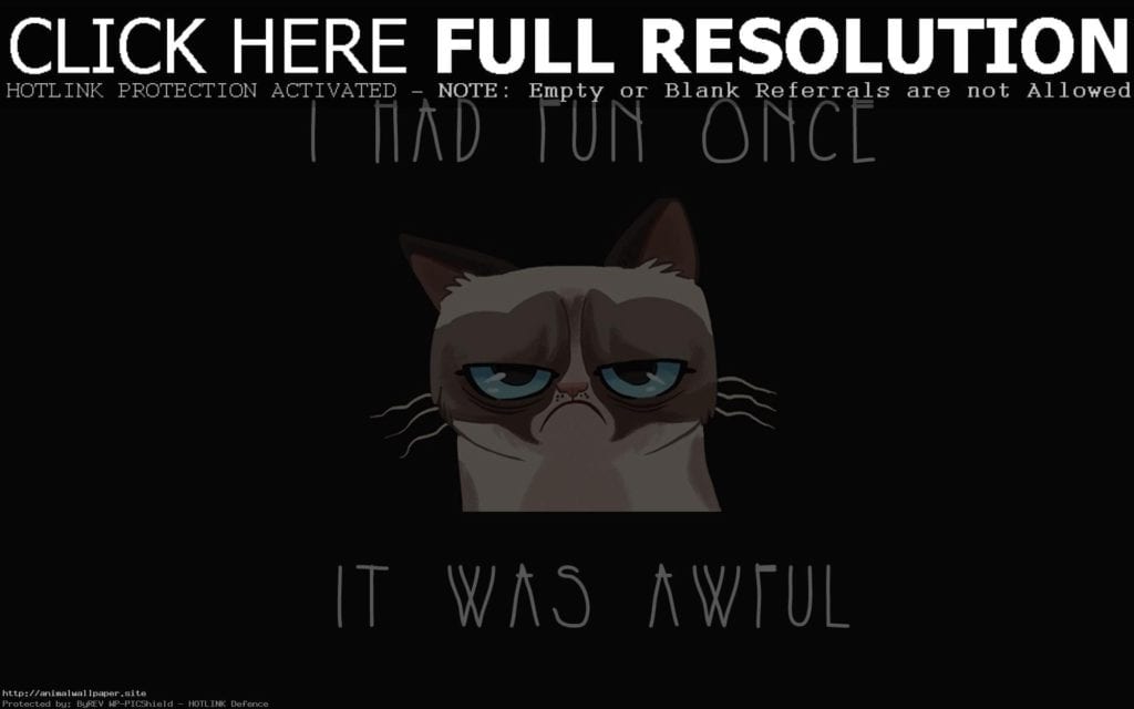 best grumpy cat -1sw