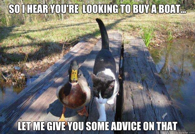 cat memes 2020-k0m8