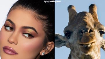 funny kylie memes -2020-09ijg7