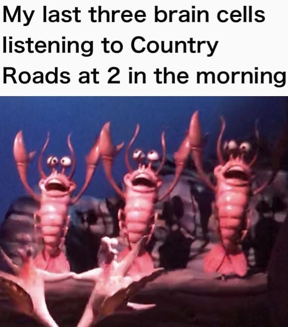 4th of july memes-4dgg