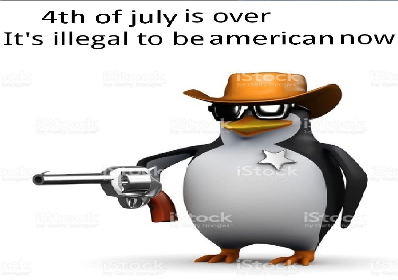 hilarious 4th of july meme -09ss