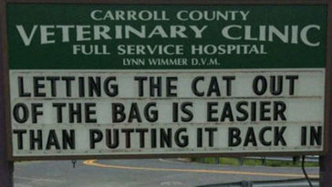 cat jokes for cat ladies -2020-1hyuur54