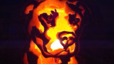 dog pumpkin carvings