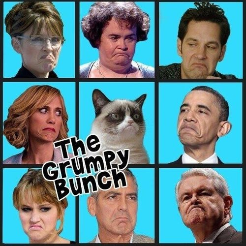grumpy cat faces -2020-sf3h2