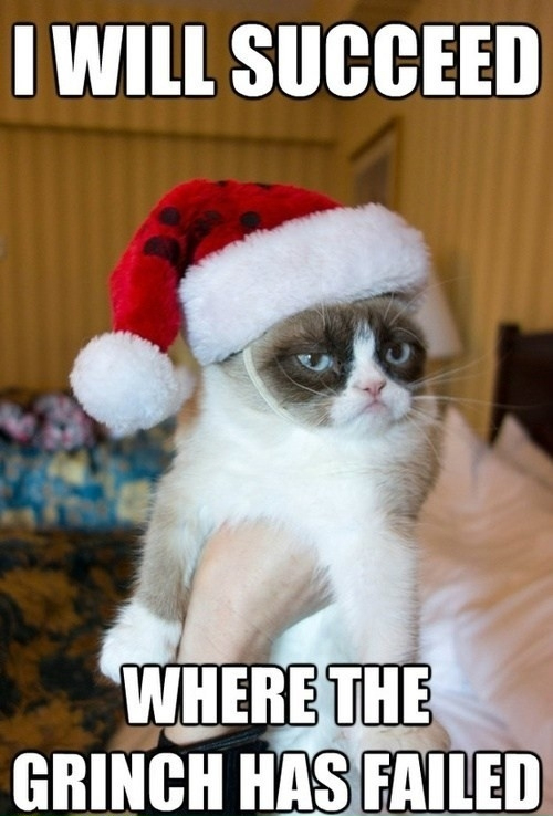 christmas memes grumpy cat