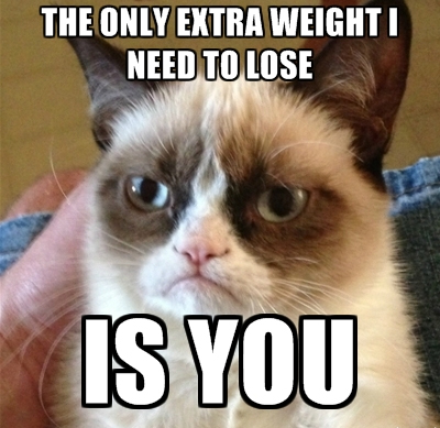 best unimpressed face cat meme