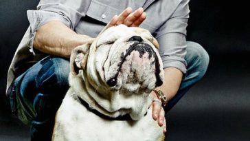 celebs with pets 2020