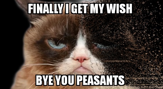 Best Of Funniest Grumpy Cat Memes