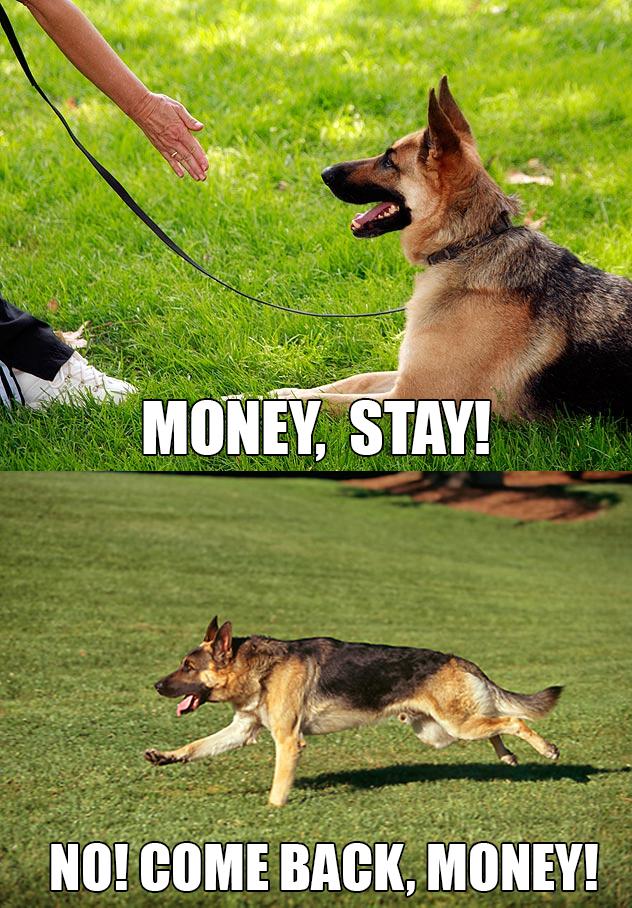 animal captions pics