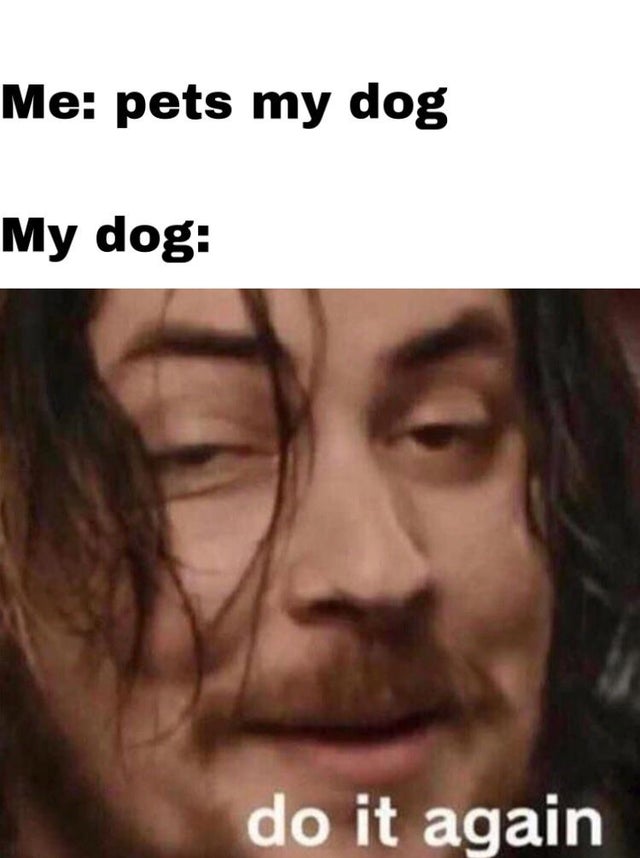 30 Good Dog Memes For All Of You To Enjoy